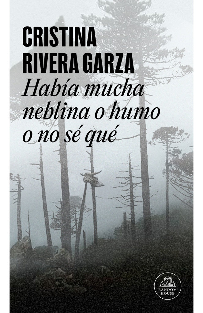 HABIA MUCHA NEBLINA, O HUMO O NO SE QUE | Cristina Rivera Garza