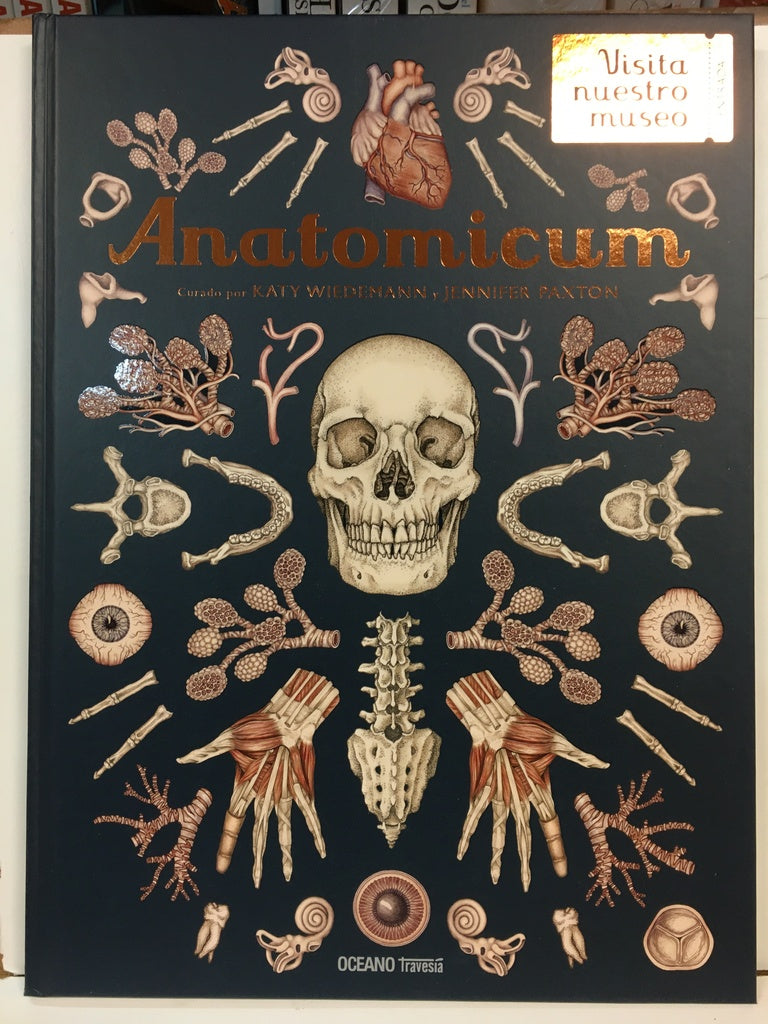 Anatomicum | Wiedemann, Paxton