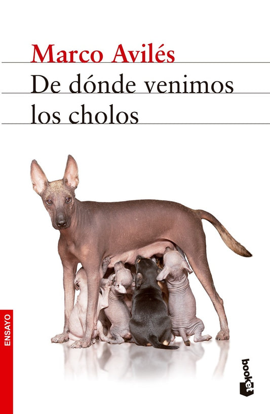 De dónde venimos los cholos | Marco Avilés