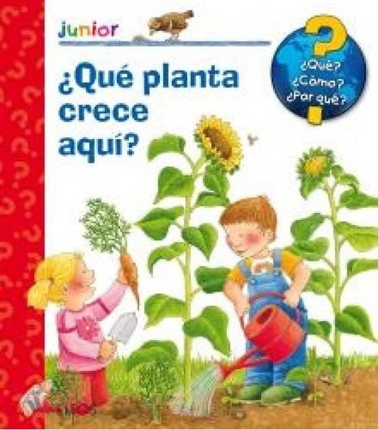 ¿QUE PLANTA CRECE AQUI? | CONSTANZA DROOP