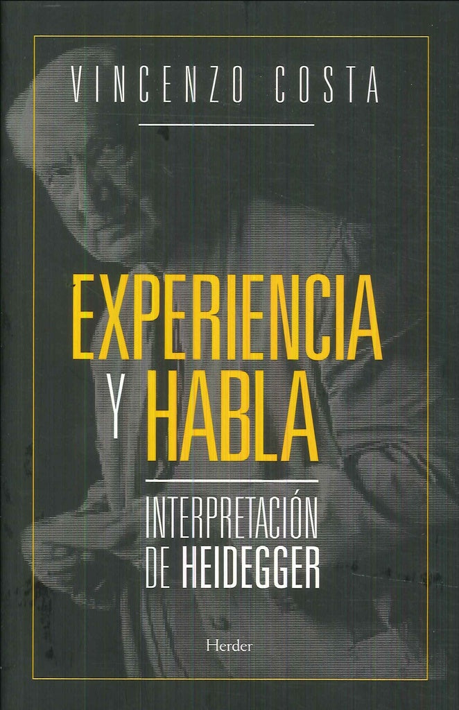 EXPERIENCIA Y HABLA | VICENZO COSTA