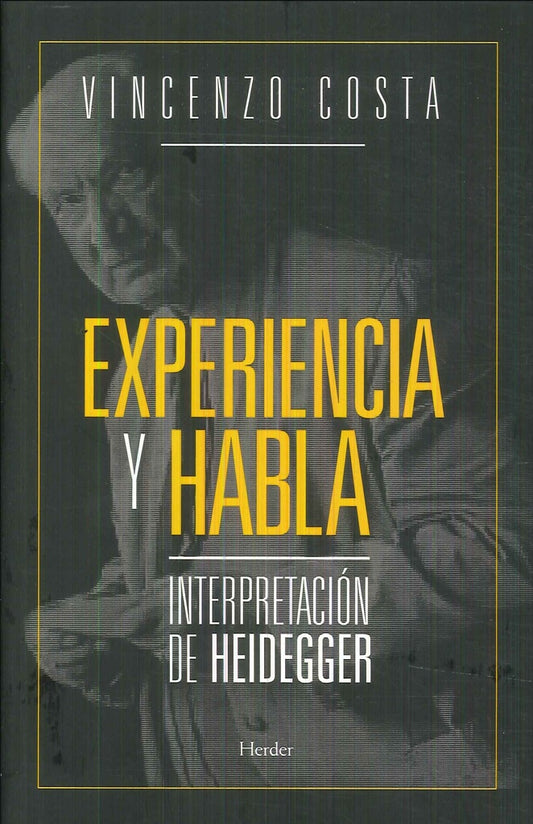 EXPERIENCIA Y HABLA | VICENZO COSTA