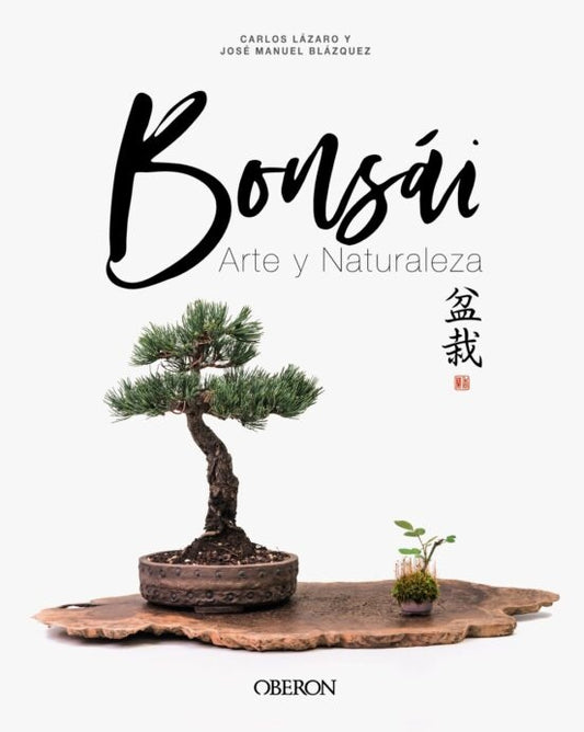 BONSAI | JOSE MANUEL; LAZARO CARLOS BLAZQUEZ