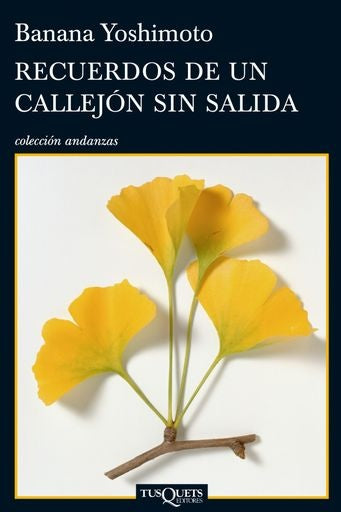 Recuerdos de un callejón sin salida | Banana Yoshimoto