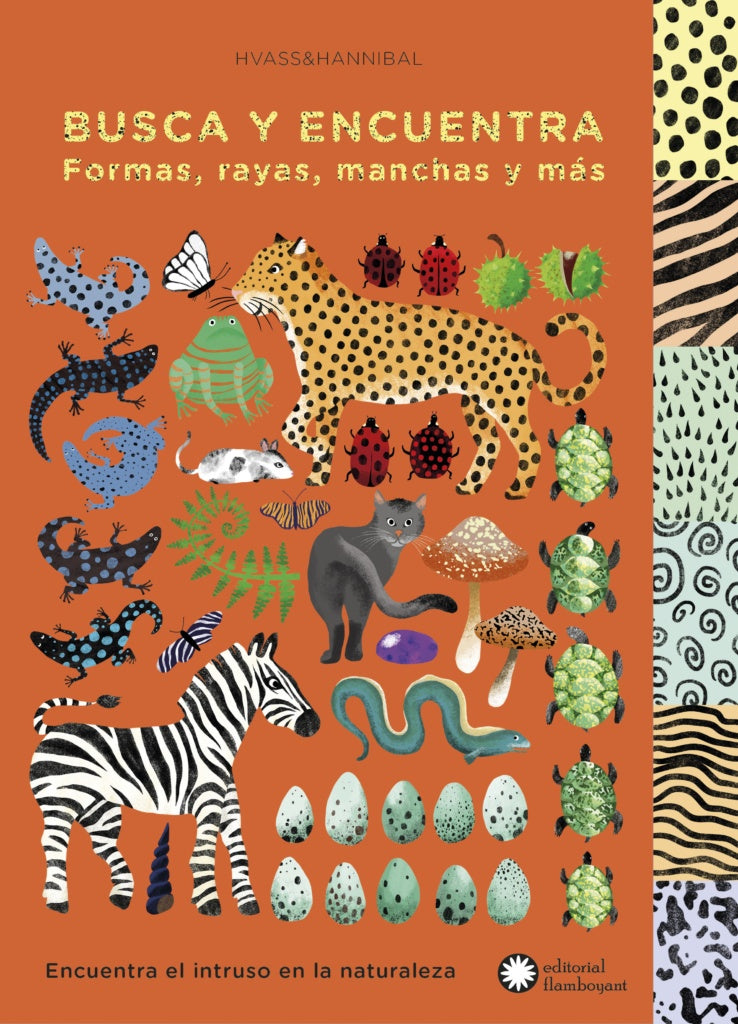 BUSCA Y ENCUENTRA FORMAS RAYAS MANCHAS Y MAS | CARLOS MAYOR ORTEGA