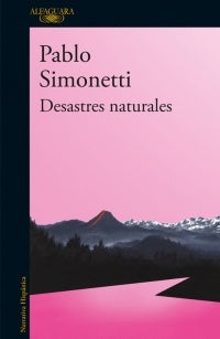 DESASTRES NATURALES | Pablo Simonetti