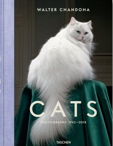 CATS | WALTER CHANDOHA