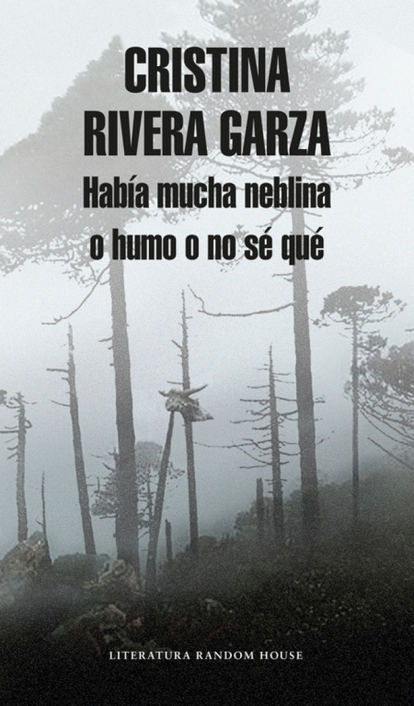 HABIA MUCHA NEBLINA, O HUMO O NO SE QUE | Cristina Rivera Garza