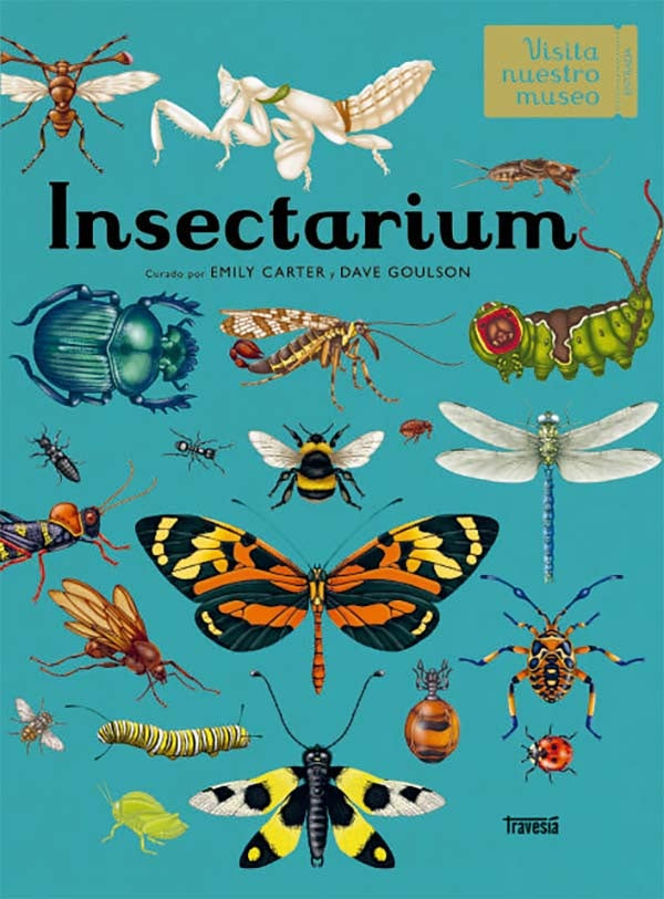 INSECTARIUM | Dave/Carter  Emily Goulson