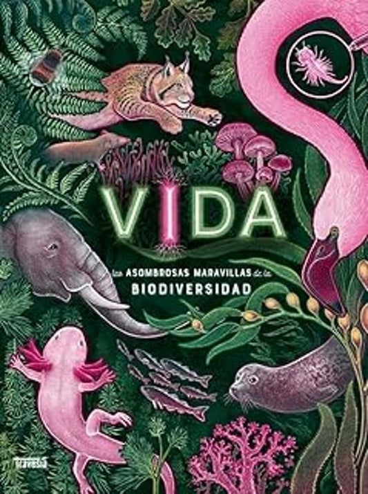 VIDA | JENNIFER SMITH
