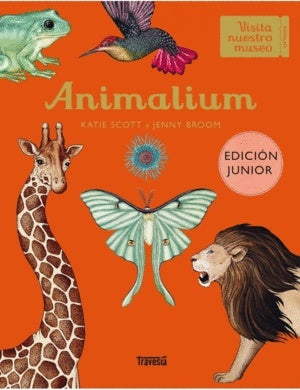 ANIMALIUM JUNIOR EDITION | Katie Scott/ Jenny Broom