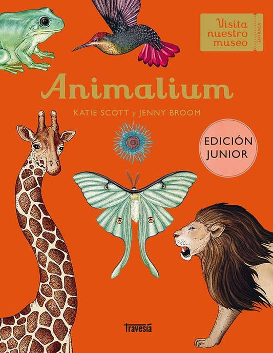 ANIMALIUM JUNIOR EDITION | Katie Scott/ Jenny Broom
