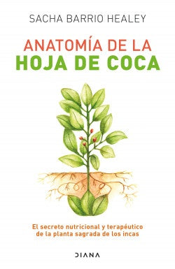 Anatomía de la hoja de coca | Sacha Barrio
