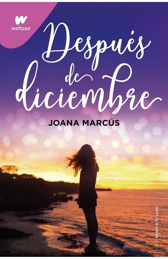 DESPUES DE DICIEMBRE | JOANA MARCU
