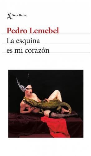 La esquina es mi corazón | Pedro Lemebel