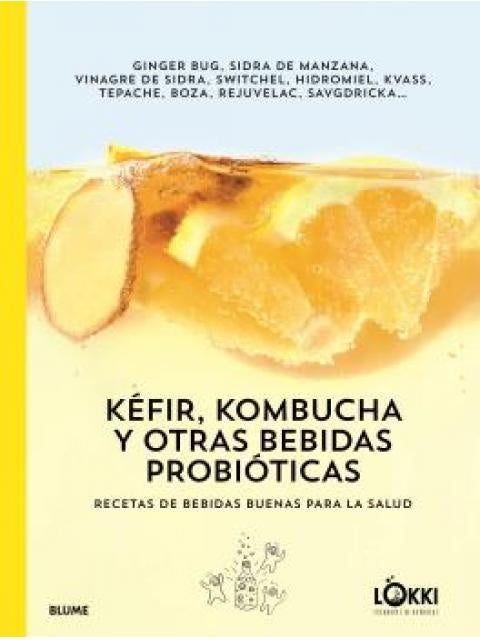 KEFIR, KOMBUCHA Y OTRAS BEBIDAS PROBIOTICAS | LOKKI