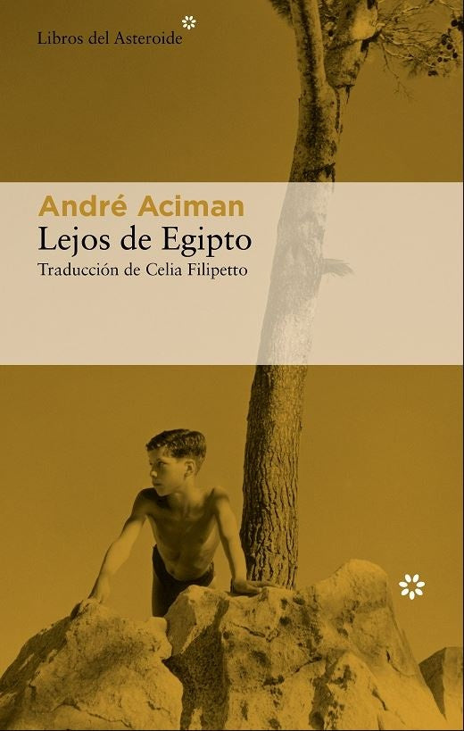 LEJOS DE EGIPTO | ANDRE ACIMAN