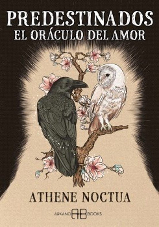PREDESTINADOS | Athene Noctua