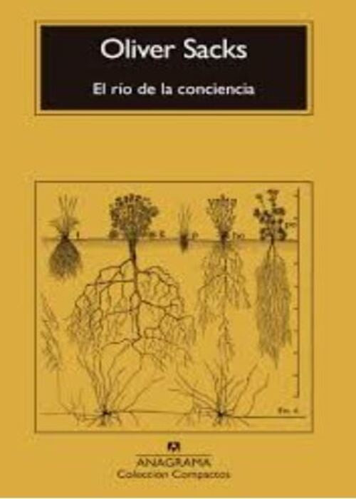 El río de la conciencia | SACKS OLIVER