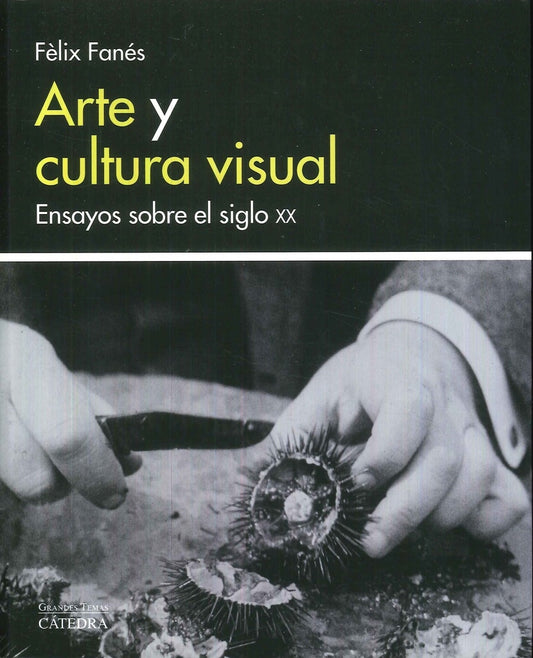 ARTE Y CULTURA VISUAL | FELIX FANES