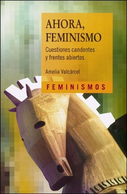 AHORA, FEMINISMO | AMELIA VALCARCEL