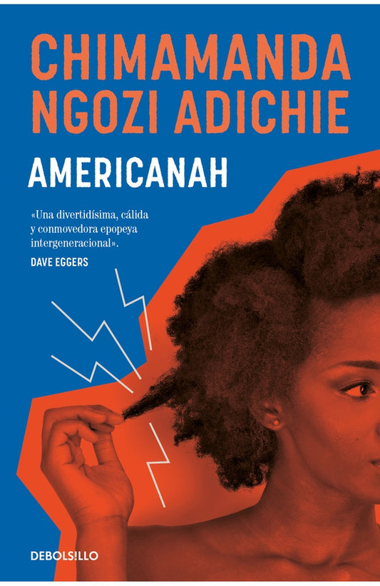 AMERICANAH | Chimamanda Ngozi; Salaberría  Leire Adichie