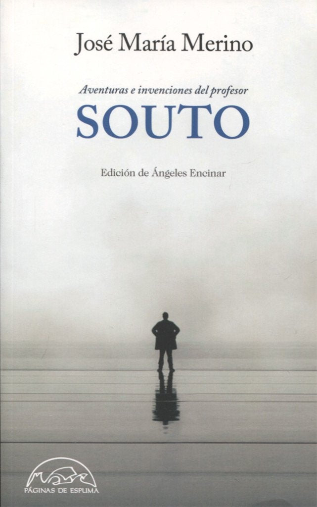 AVENTURAS E INVENCIONES DEL PROFESOR SOUTO | JOSE MARIA MERINO