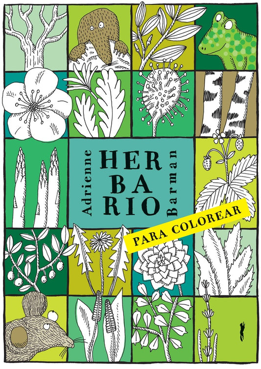 HERBARIO PARA COLOREAR | Adrienne Barman