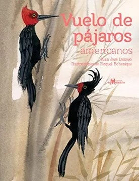 Vuelo de pájaros americanos | Juan José Donoso/Raquel Echenique