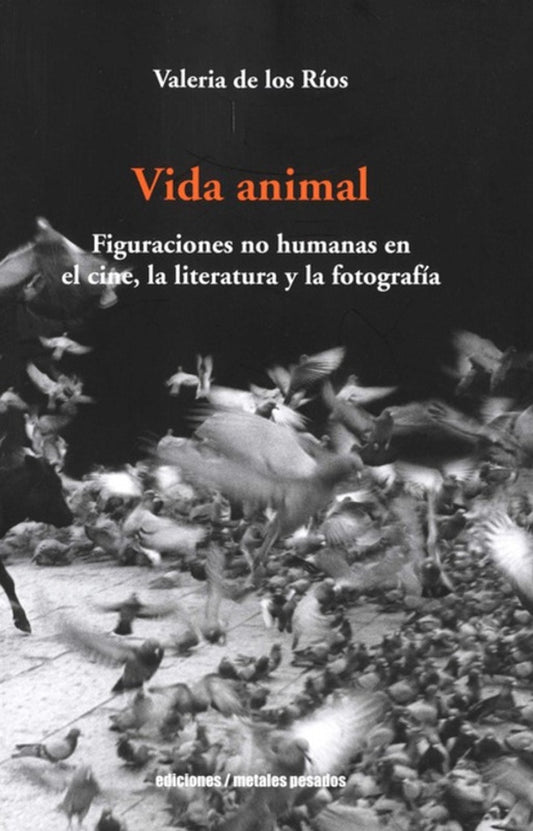 Vida animal | VALERIA DE LOS RIOS