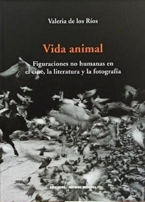 Vida animal | VALERIA DE LOS RIOS
