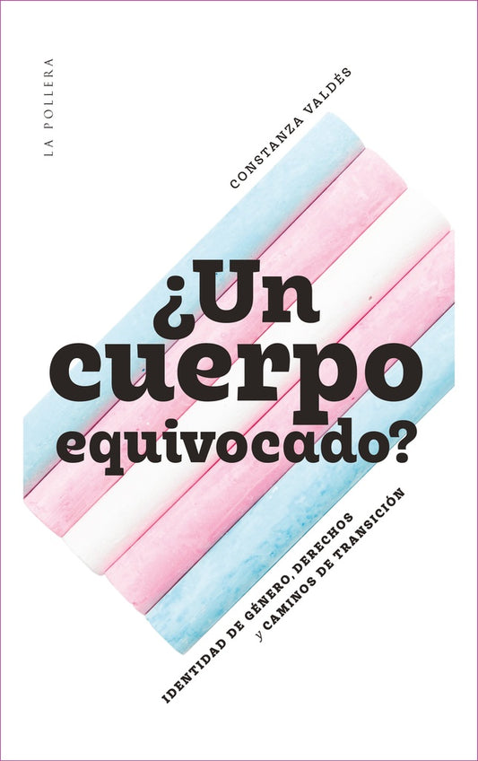 ¿Un cuerpo equivocado? Identidad de género, derechos y caminos de transición | Constanza Valdés