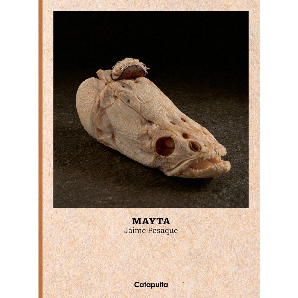 MAYTA ESP | JAIME PESAQUE